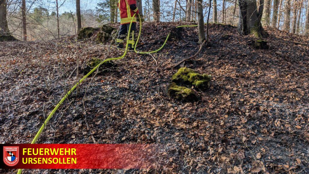 #B 2 #im Freien # Wald, klein